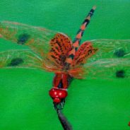3729 Dragonfly #11 – Calico Pennant