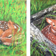 3732 & 3733 In Hiding & Safe Place