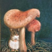 LIMITED EDITION PRINTS