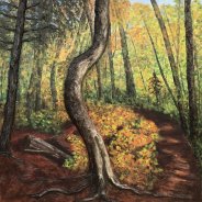 3769 – Hardwood Outlook Trail, Algonquin Park