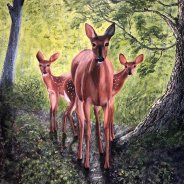 3771 – Magical Moment