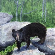 3723 – Bear Rocks